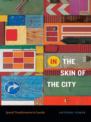 cover image of In the Skin of the City